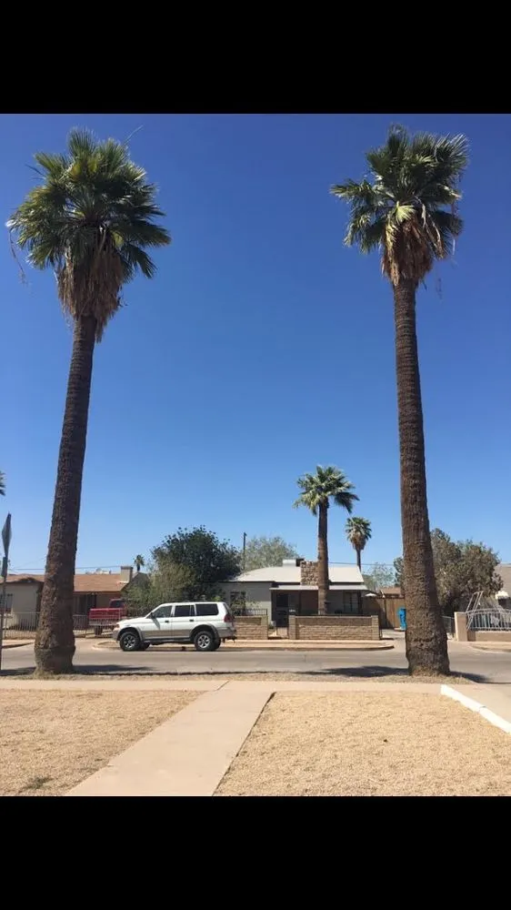 Professional landscaping services for beautiful yards across Phoenix, AZ - Jose's Landscaping