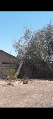 Jose's Landscaping Logo