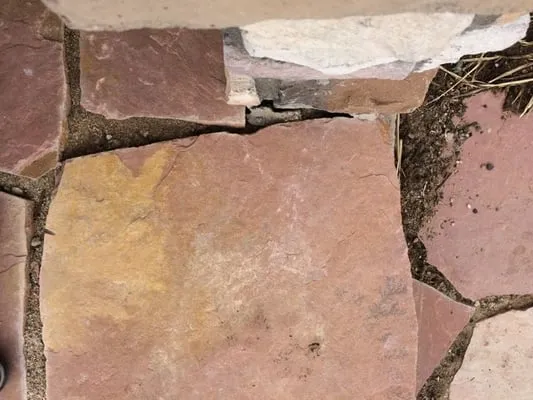 Jose's Landscaping Service & Sprinkler System