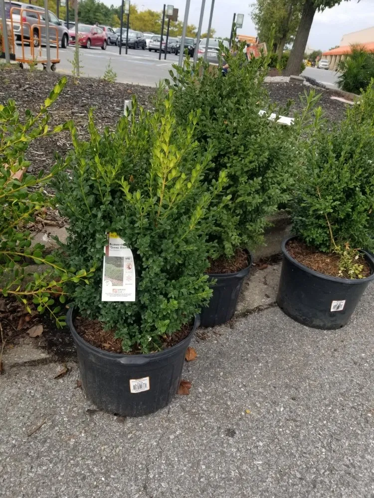 Local garden landscaping in Columbia, MD by Joses Landscaping Services