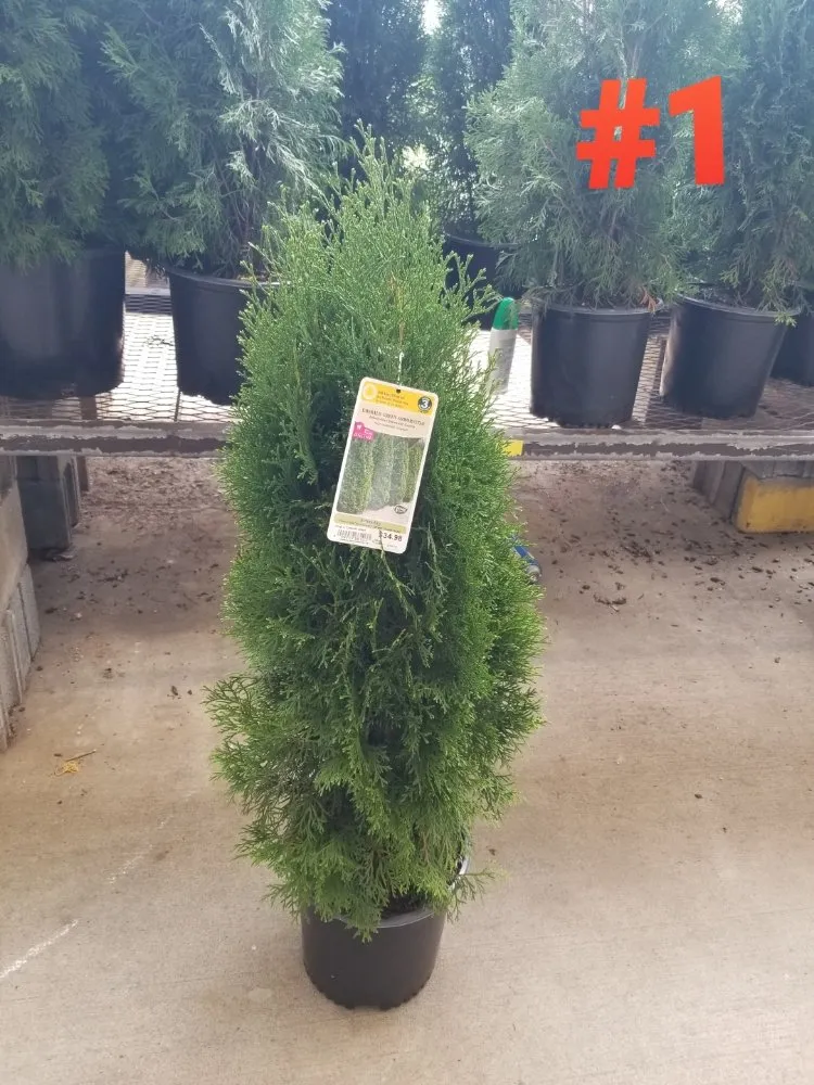 Affordable residential landscaping for outdoor upgrades across Columbia, MD - Joses Landscaping Services