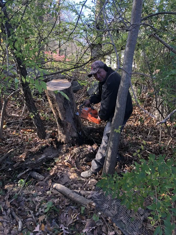 Local outdoor landscaping experts serving Stamford, CT - Jose’s Landscaping