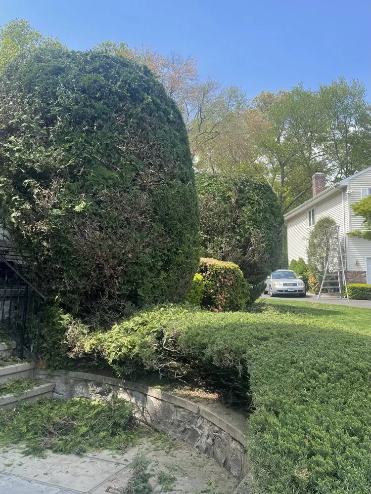 Expert lawn mowing service experts serving Stamford, CT - Jose’s Landscaping