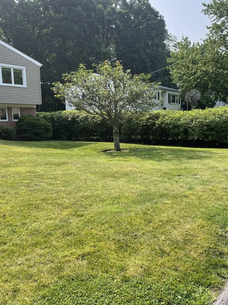 Top-rated outdoor landscaping for homes in Stamford, CT by Jose’s Landscaping