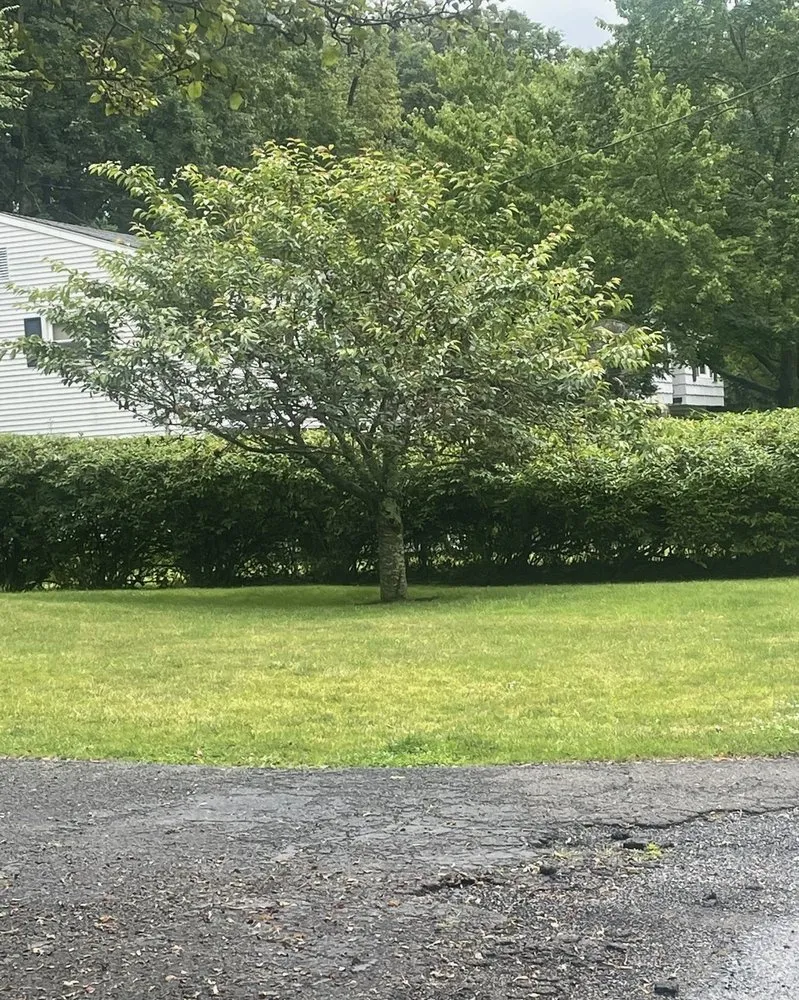 Trusted landscape design near you in Stamford, CT by Jose’s Landscaping