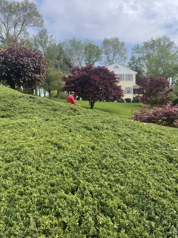 Professional landscape design for homes in Stamford, CT by Jose’s Landscaping