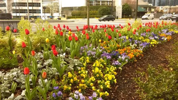 Jose's Landscaping Logo