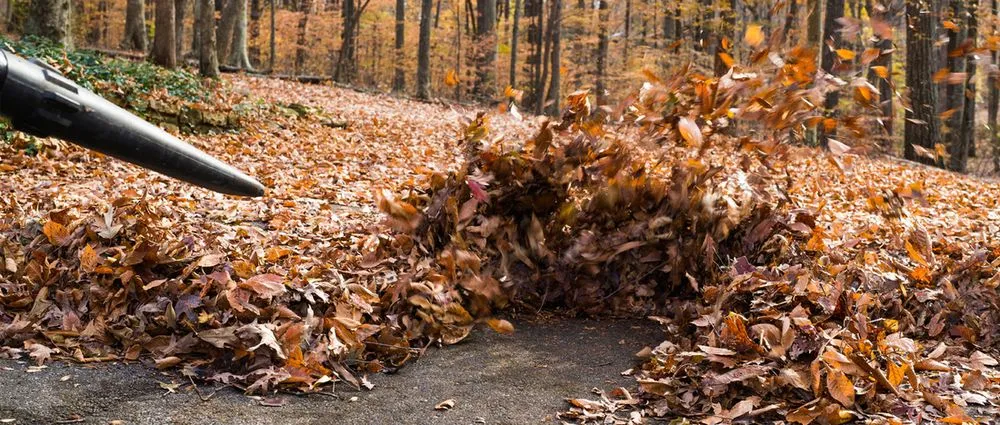 Expert yard cleanup service experts serving Stratford, CT - Joses Landscaping