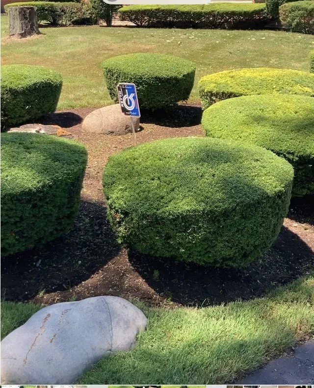 Expert landscape design for residential properties in Wheeling, IL by Jose's Landscaping