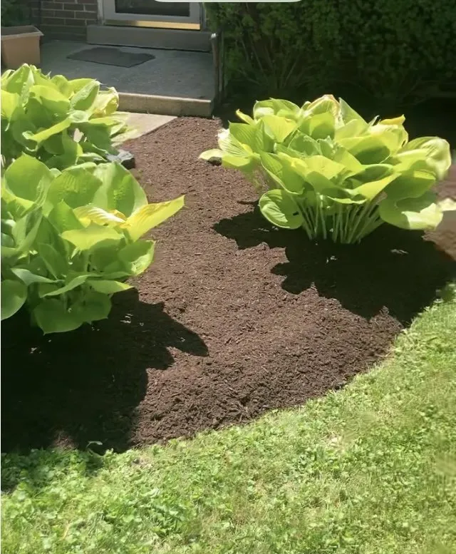 Local landscape design in Wheeling, IL - Jose's Landscaping