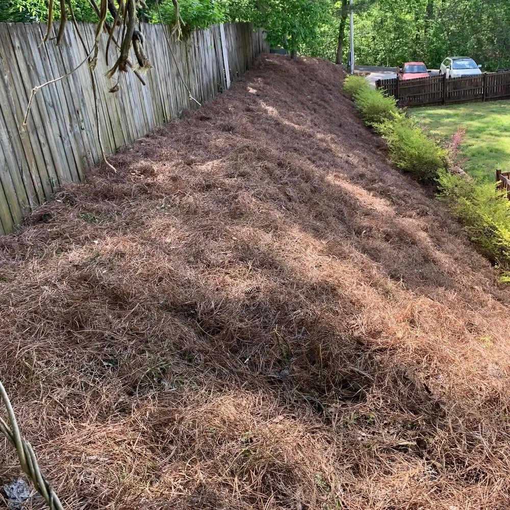 Expert landscape installation for residential properties in Scottsboro, AL by Jose's Lawn & Landscaping