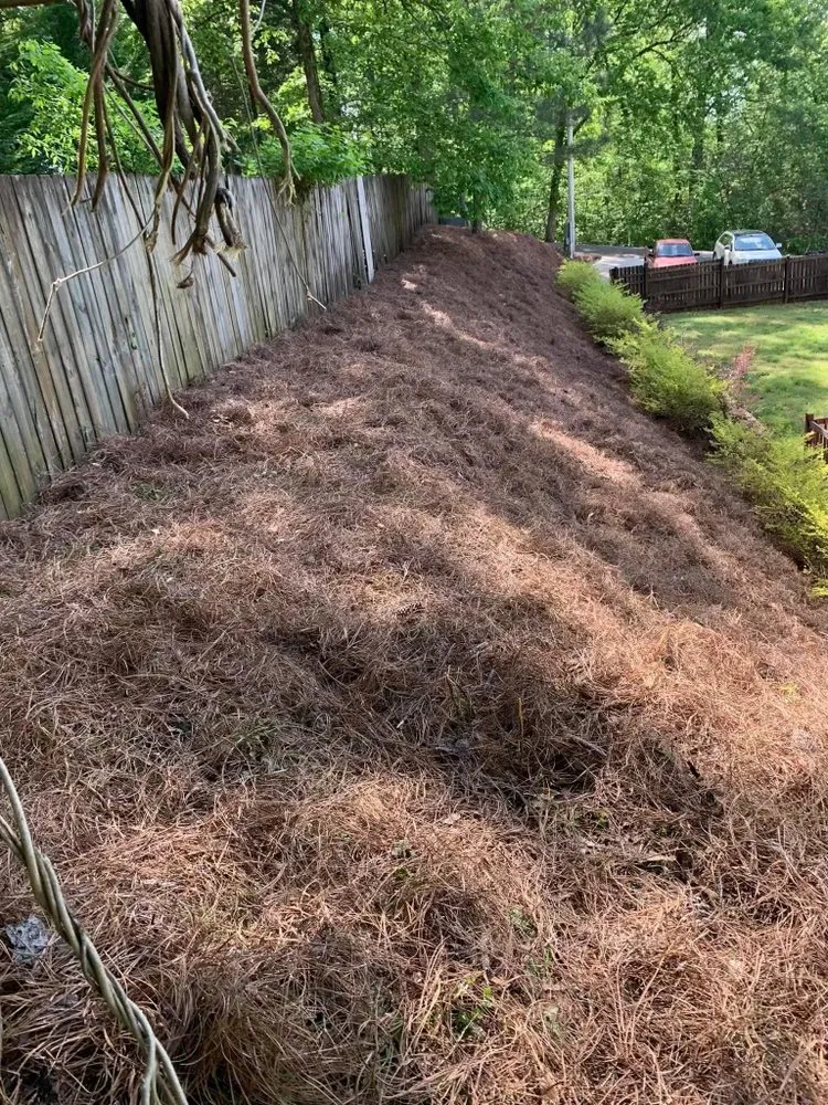 Expert lawn mowing service for homes across Scottsboro, AL - Jose's Lawn & Landscaping