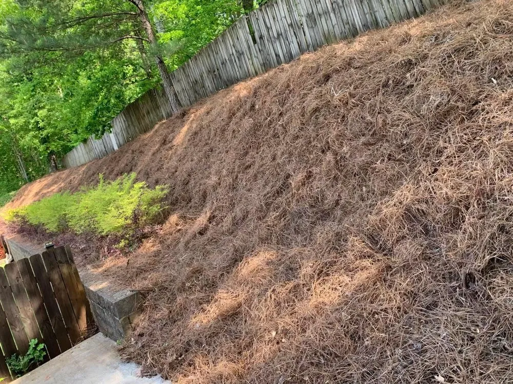 Professional landscape installation in Scottsboro, AL by Jose's Lawn & Landscaping