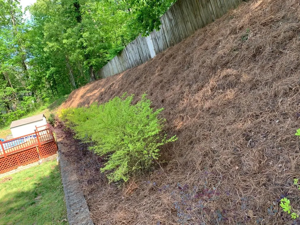 Expert lawn care service in Scottsboro, AL - Jose's Lawn & Landscaping