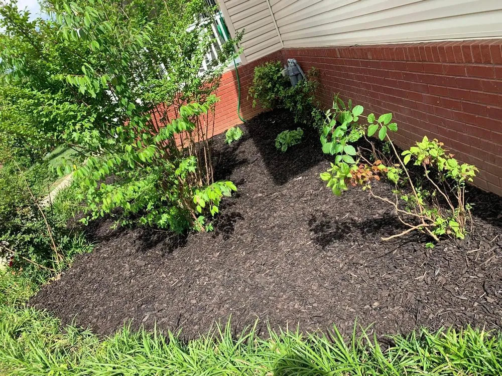 Trusted lawn care service in Scottsboro, AL - Jose's Lawn & Landscaping