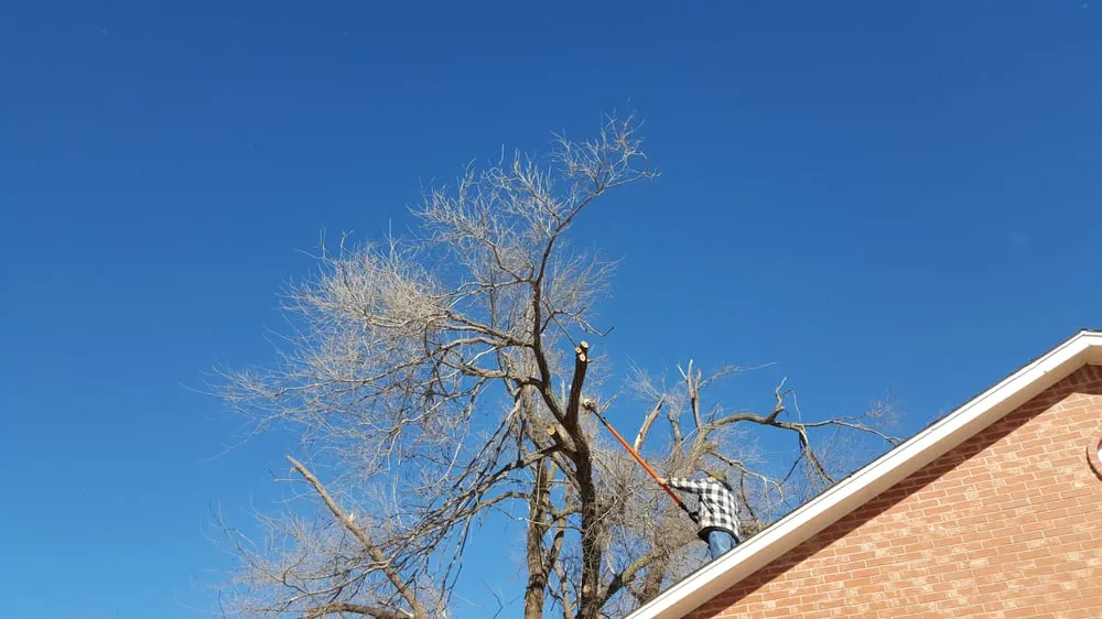 Custom residential landscaping experts serving Bethany, OK - Jose's Lawn Care