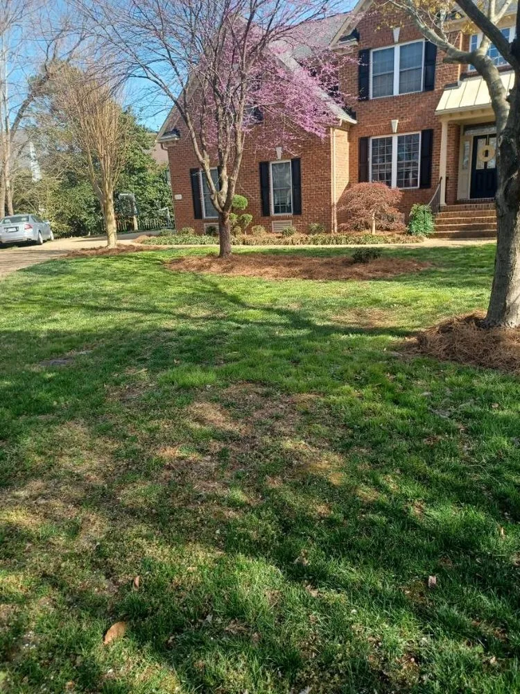 Custom lawn care service in Williamsburg, VA - JoseS Lawn Care Services