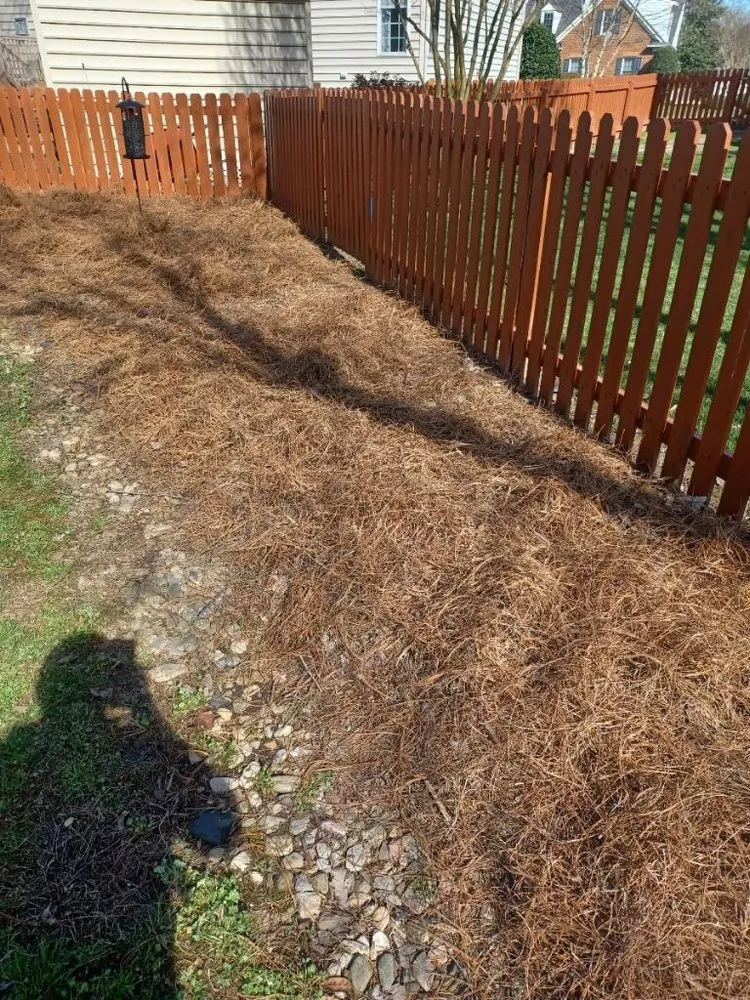 Professional yard cleanup service for homes across Williamsburg, VA - JoseS Lawn Care Services