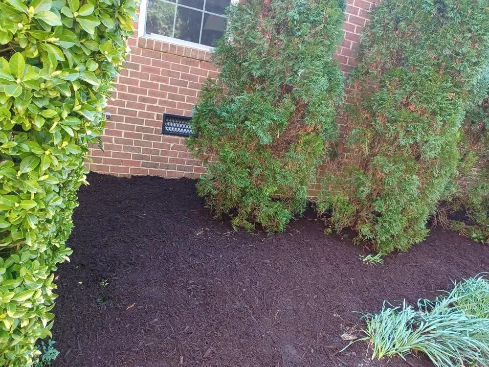 Professional lawn mowing service for year-round maintenance across Williamsburg, VA - JoseS Lawn Care Services