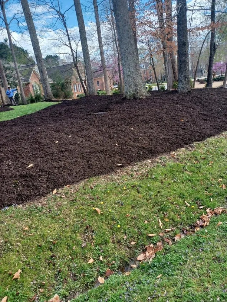 Professional landscape installation near you in Williamsburg, VA by JoseS Lawn Care Services