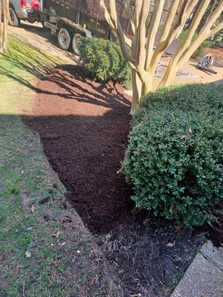 Expert residential landscaping in Williamsburg, VA - JoseS Lawn Care Services