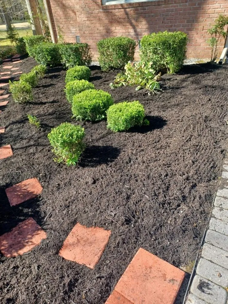 Top-rated yard cleanup service in Williamsburg, VA - JoseS Lawn Care Services