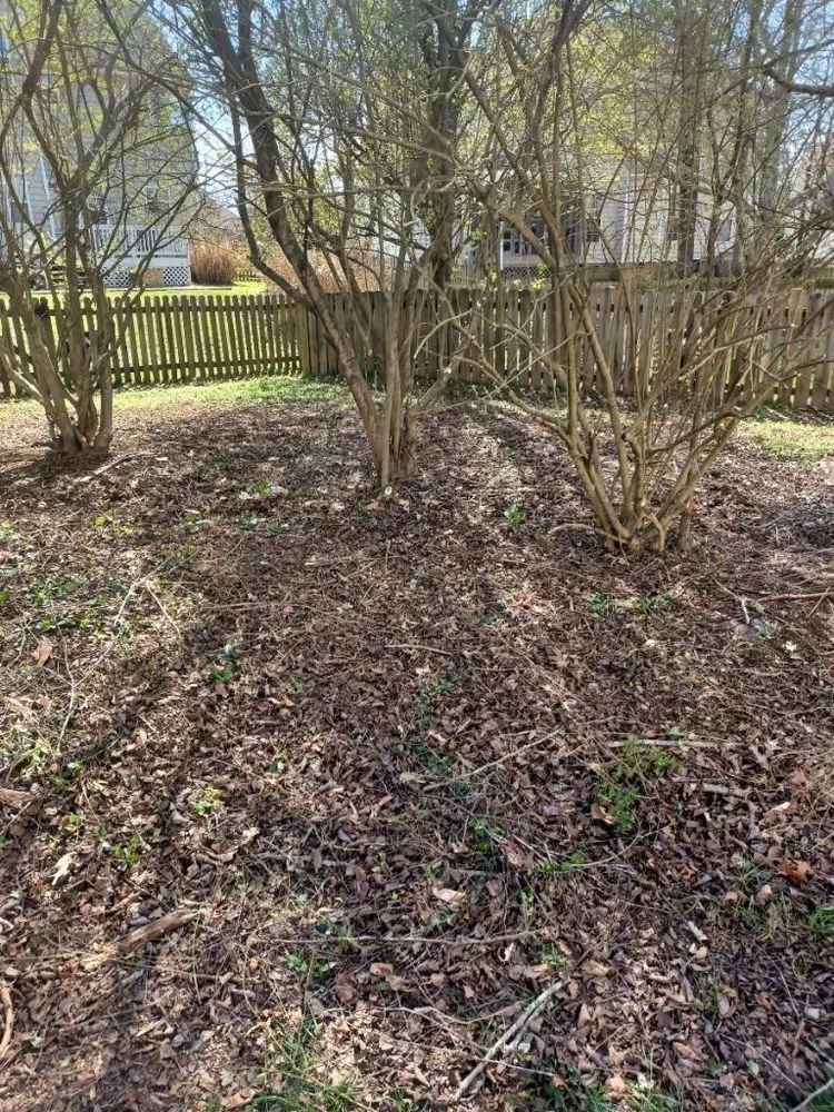 Local yard maintenance for beautiful yards across Williamsburg, VA - JoseS Lawn Care Services