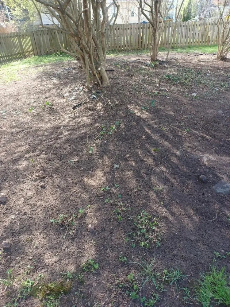 Reliable outdoor landscaping in Williamsburg, VA - JoseS Lawn Care Services