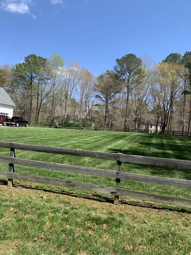 Local landscape installation in Hillsborough, NC - Jose’s Lawn Maintenance
