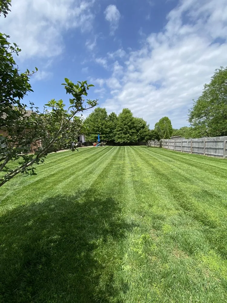 Professional landscape installation near you across Murfreesboro, TN - Jose’s Lawn Mowing