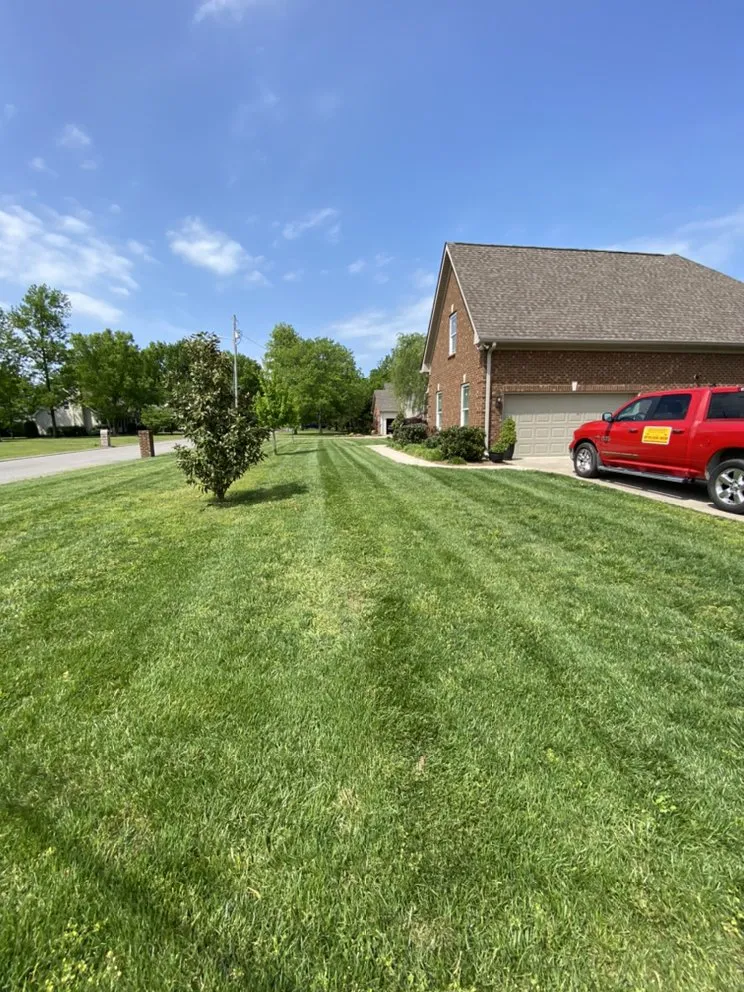 Expert landscape design in Murfreesboro, TN by Jose’s Lawn Mowing