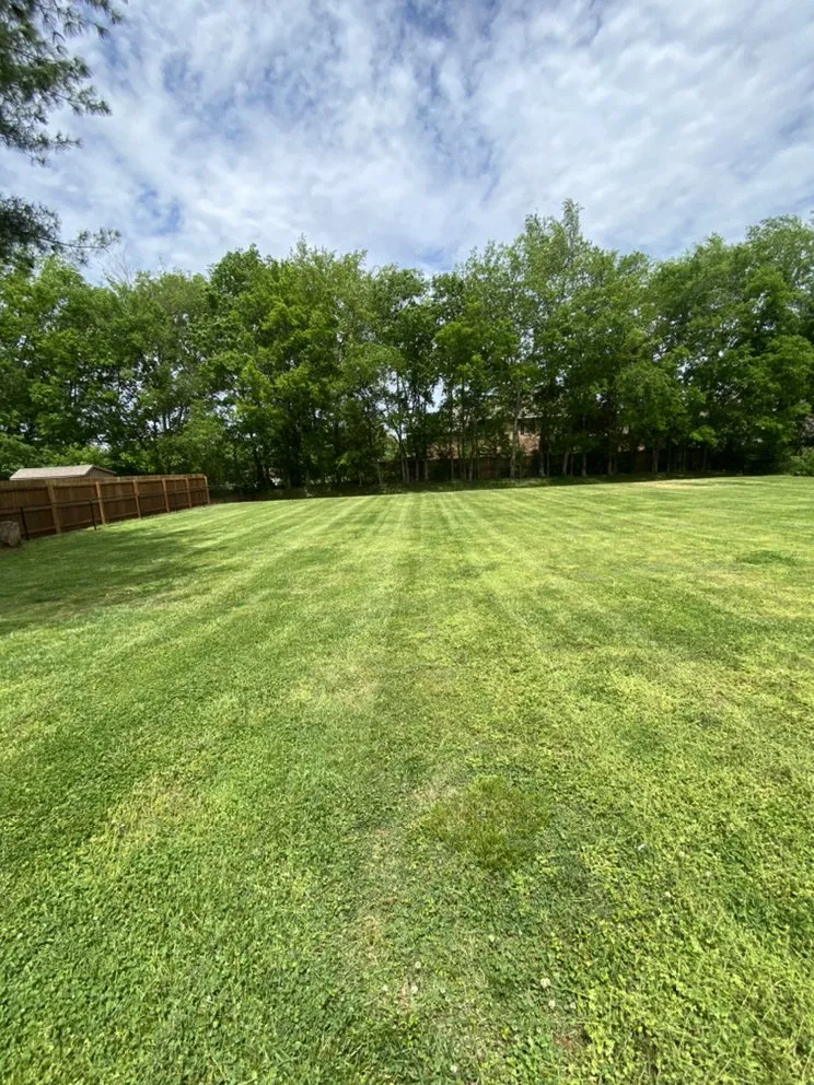 Affordable lawn mowing service with custom design in Murfreesboro, TN by Jose’s Lawn Mowing
