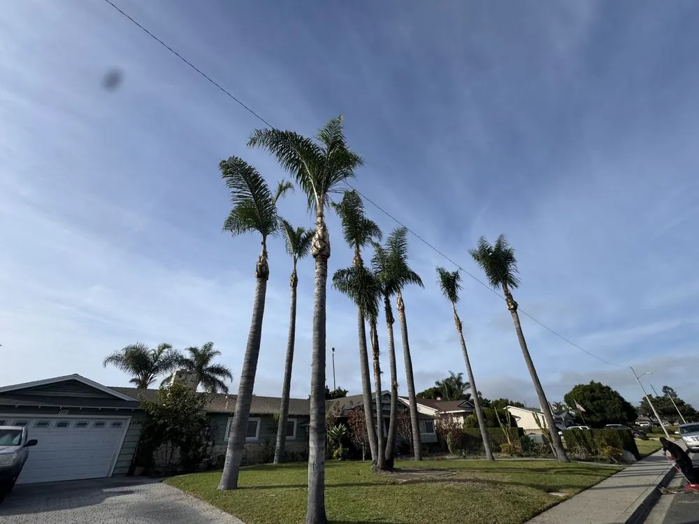 Reliable landscape design for homes across Oxnard, CA - Jose’s Lawn Service & Hardscaping