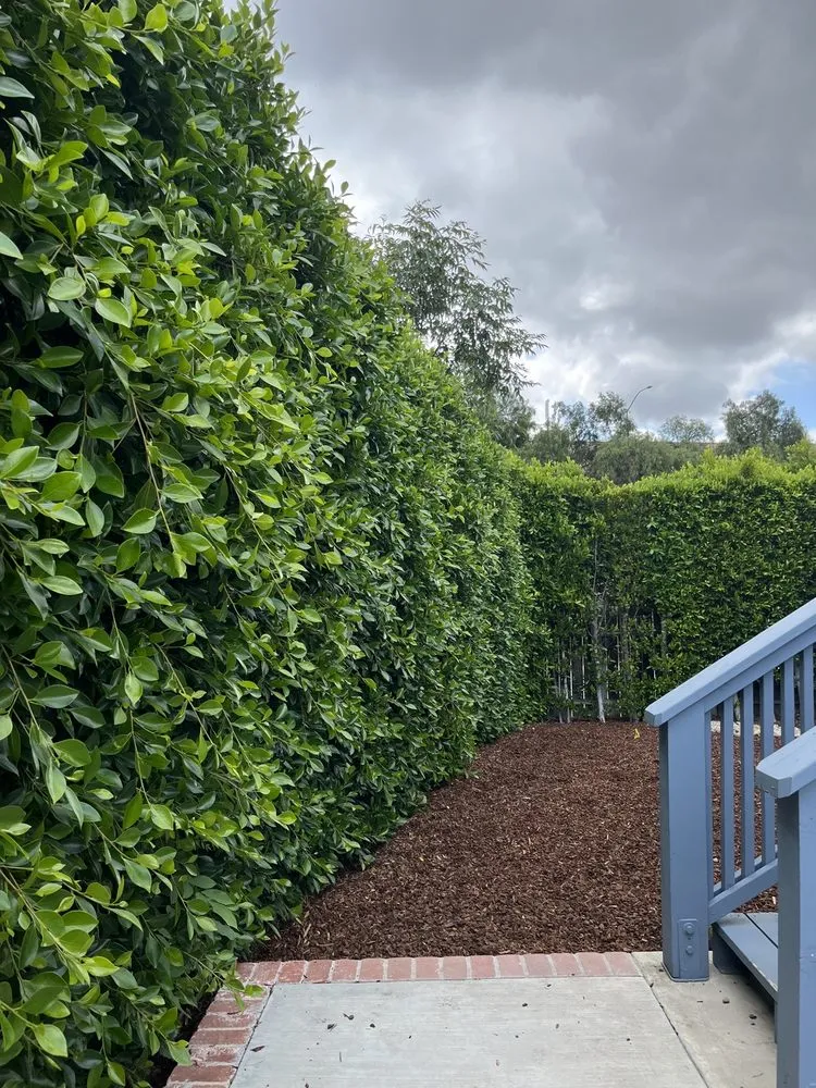 Affordable outdoor landscaping in Oxnard, CA - Jose’s Lawn Service & Hardscaping