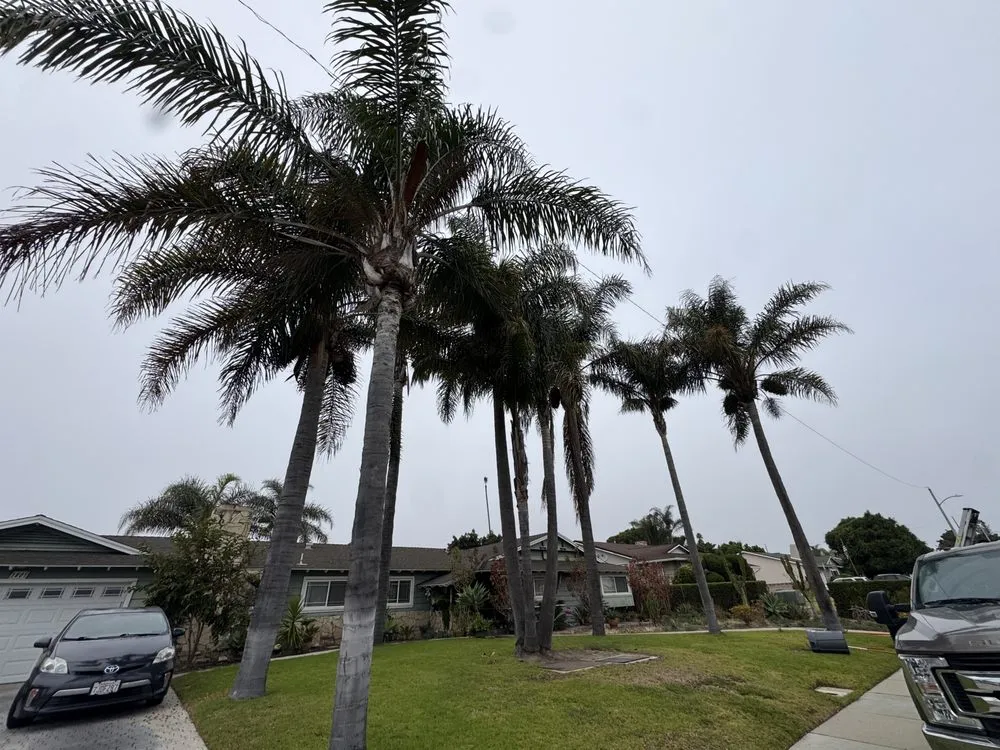 Top-rated landscaping services in Oxnard, CA by Jose’s Lawn Service & Hardscaping