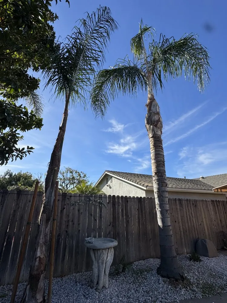Top-rated yard maintenance in Oxnard, CA by Jose’s Lawn Service & Hardscaping