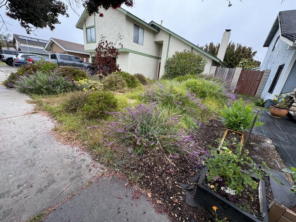 Reliable landscape design for outdoor upgrades across Oxnard, CA - Jose’s Lawn Service & Hardscaping