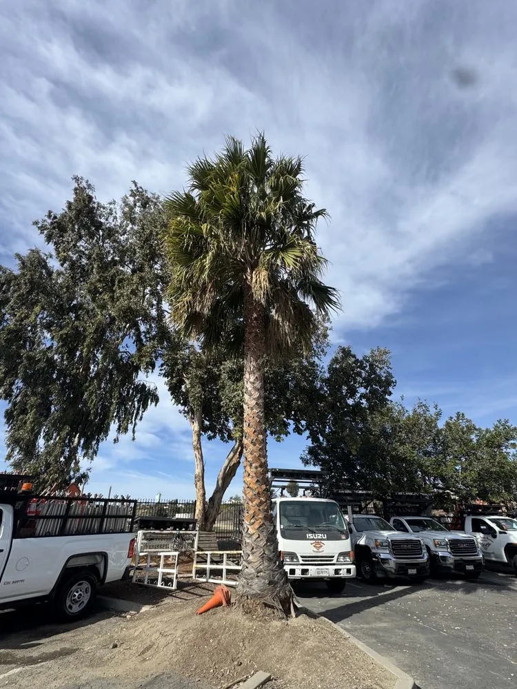 Trusted lawn care service experts serving Oxnard, CA - Jose’s Lawn Service & Hardscaping