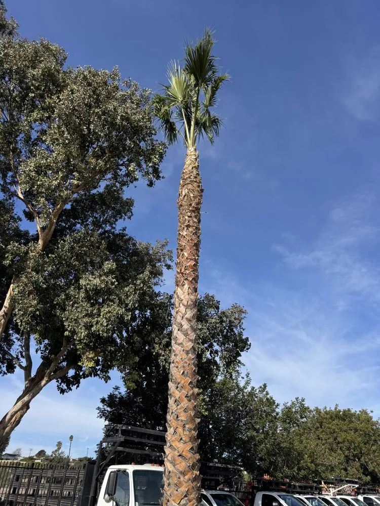 Expert lawn care service in Oxnard, CA - Jose’s Lawn Service & Hardscaping