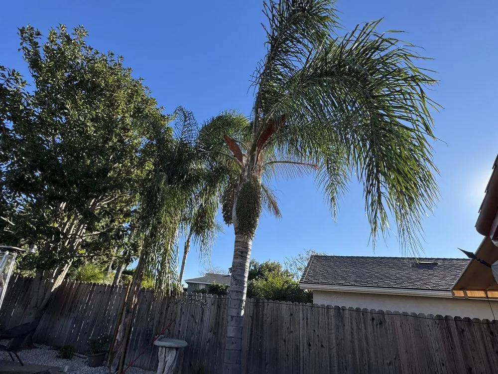 Top-rated landscape design for homes in Oxnard, CA by Jose’s Lawn Service & Hardscaping