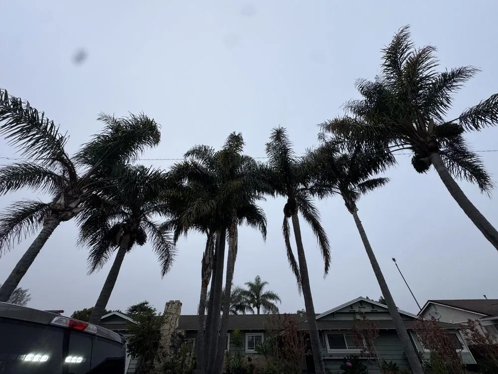 Affordable lawn care service experts serving Oxnard, CA - Jose’s Lawn Service & Hardscaping