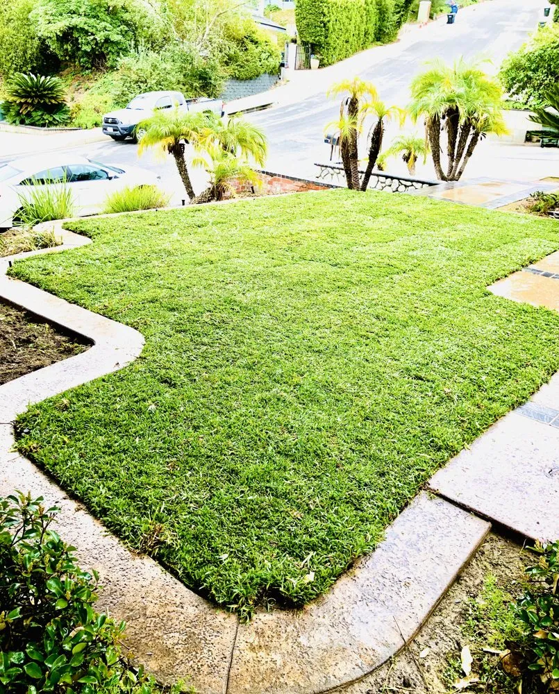 Local lawn mowing service experts serving West Covina, CA - Jose's Lawn Services