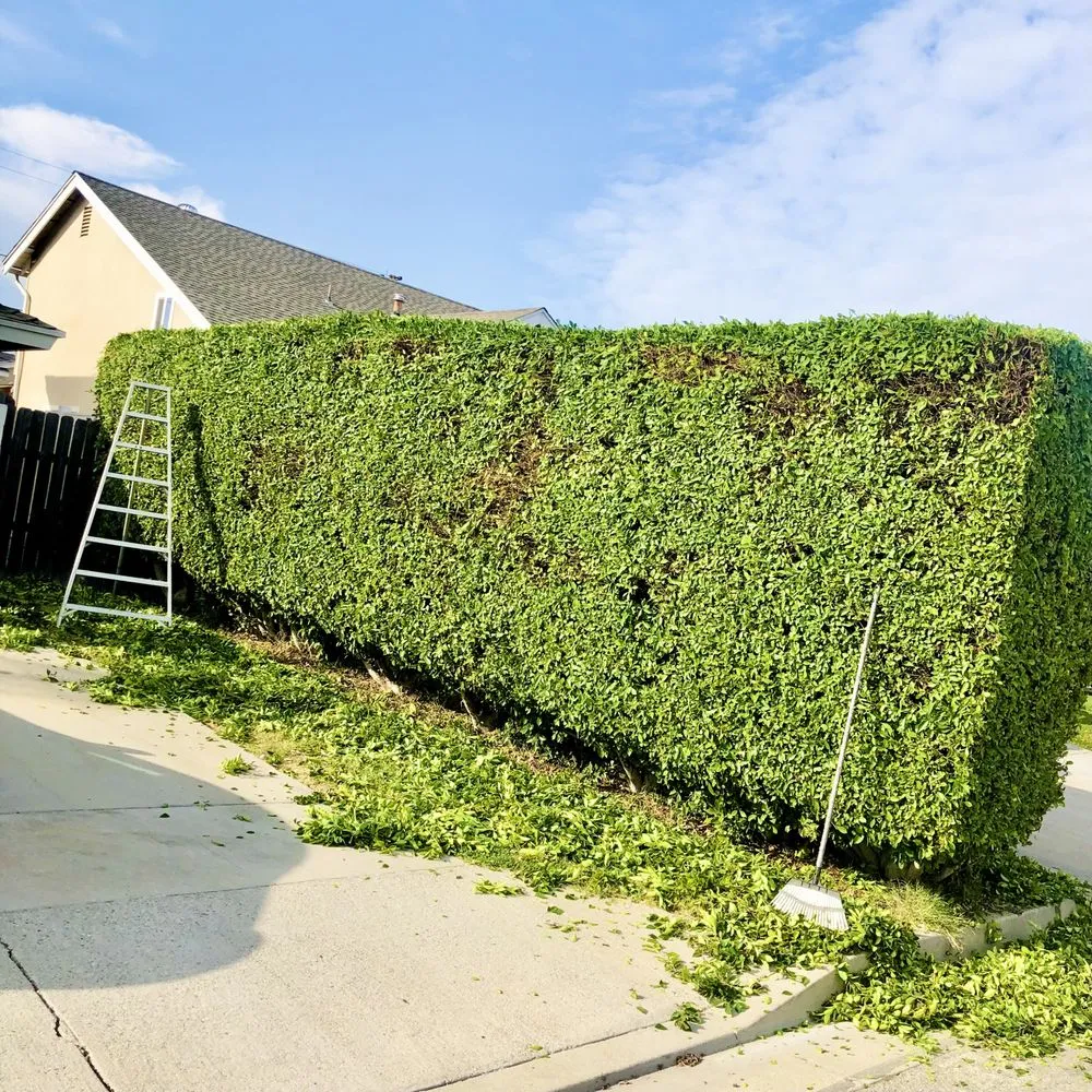 Custom landscaping services in West Covina, CA by Jose's Lawn Services