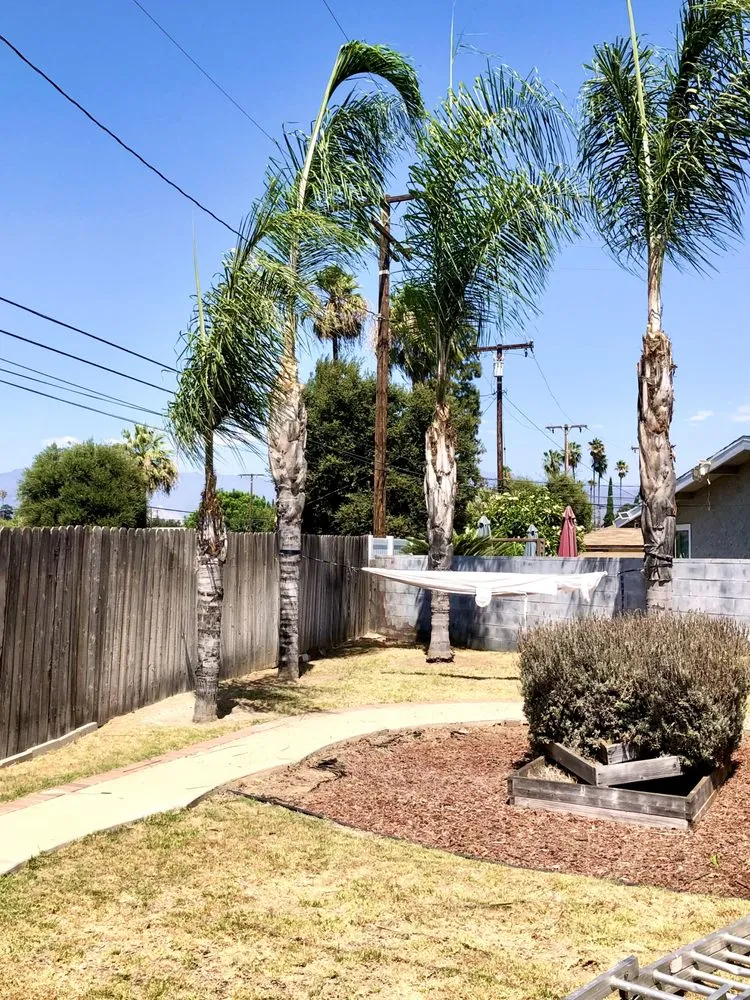 Affordable yard cleanup service near you across West Covina, CA - Jose's Lawn Services