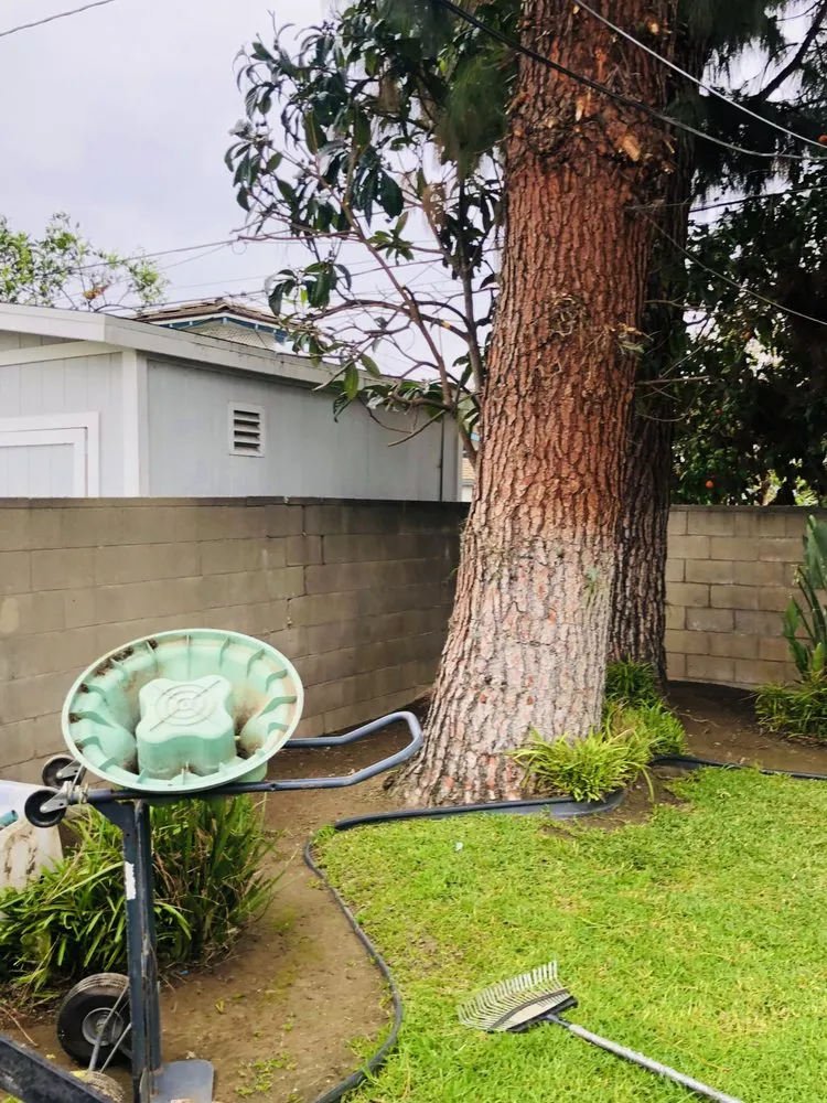 Professional residential landscaping in West Covina, CA by Jose's Lawn Services