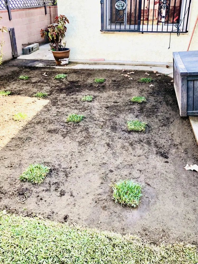 Expert landscaping services experts serving West Covina, CA - Jose's Lawn Services