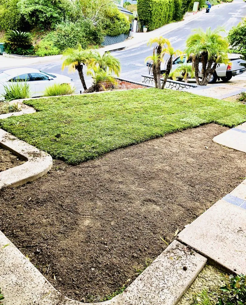 Affordable landscape design in West Covina, CA - Jose's Lawn Services