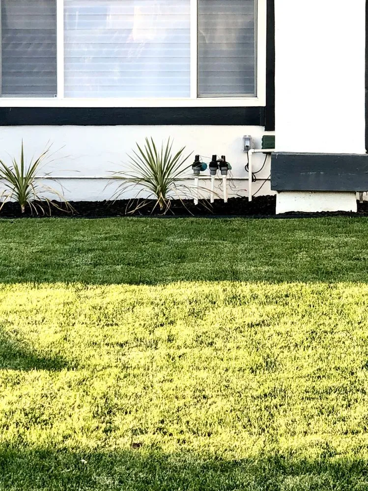 Reliable yard cleanup service in West Covina, CA - Jose's Lawn Services