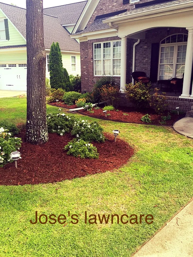 Affordable lawn care service in Camden, SC by Jose's lawncare