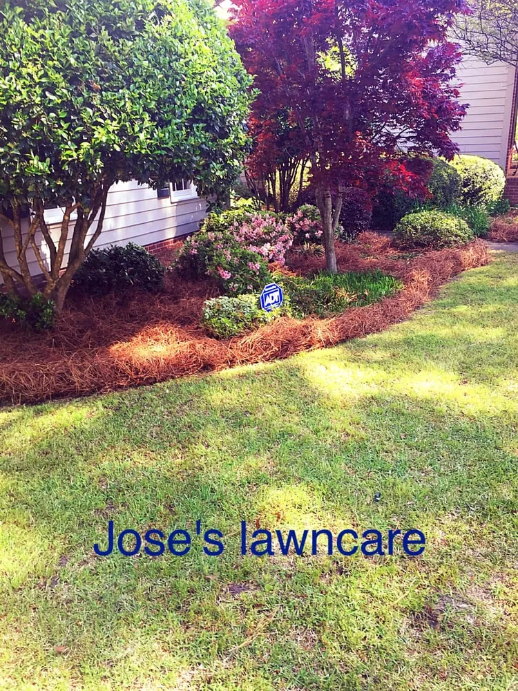 Top-rated residential landscaping experts serving Camden, SC - Jose's lawncare
